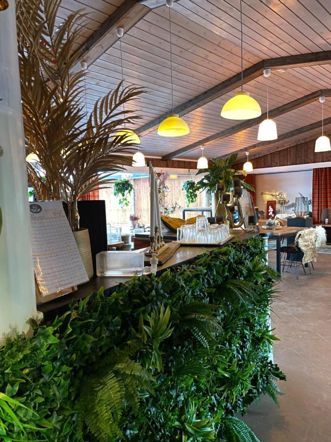 Masaplassen Friisvegen Mountain Lodge Ringebu Eksteriør billede