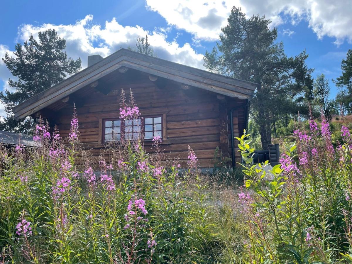 Masaplassen Friisvegen Mountain Lodge Ringebu Eksteriør billede