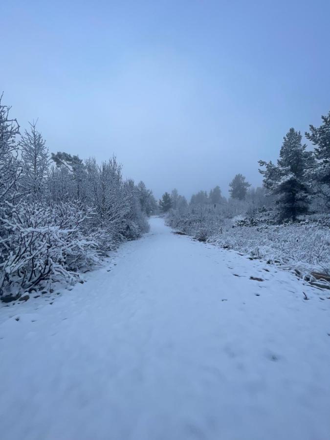 Masaplassen Friisvegen Mountain Lodge Ringebu Eksteriør billede
