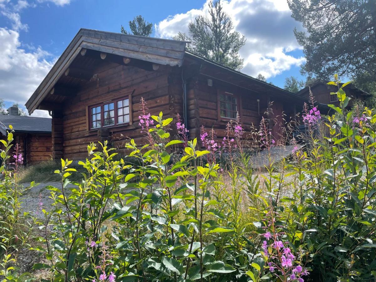Masaplassen Friisvegen Mountain Lodge Ringebu Eksteriør billede