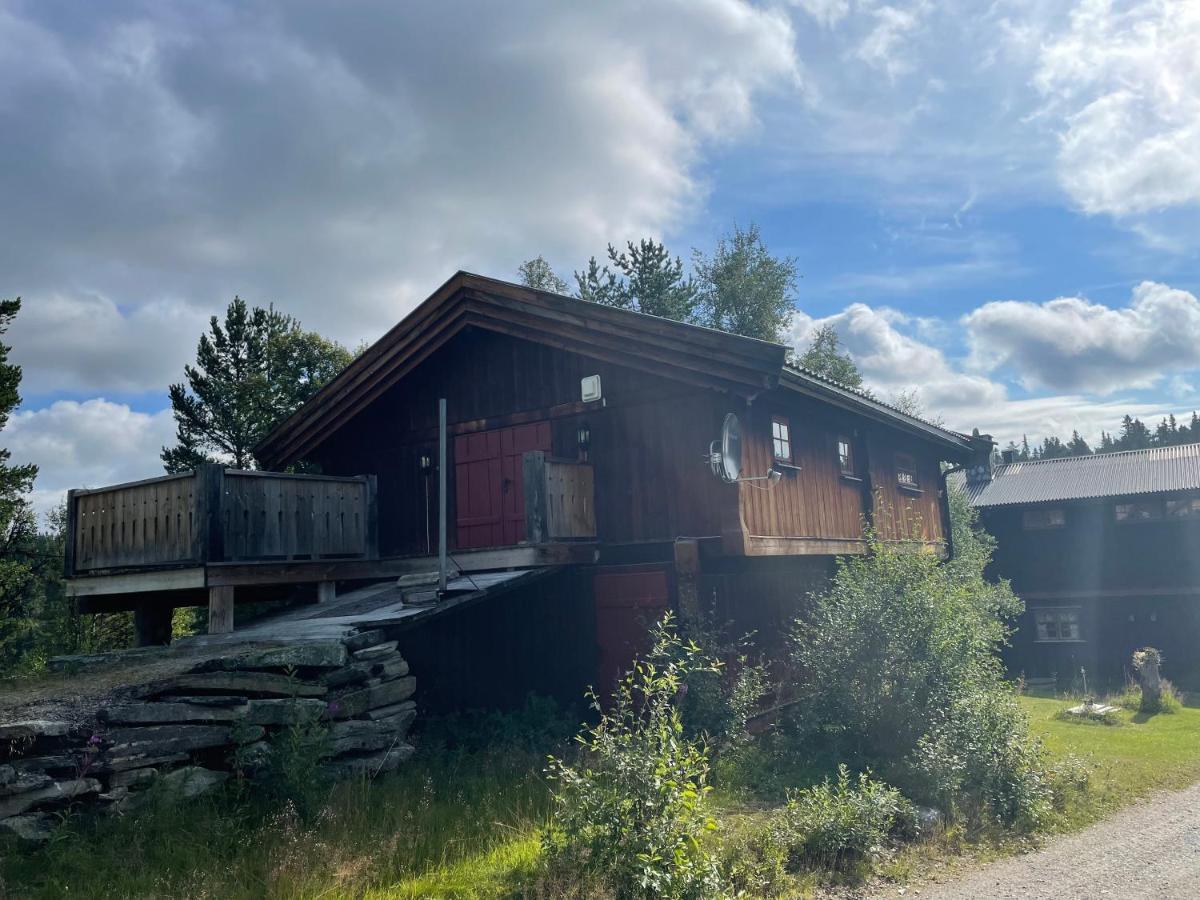 Masaplassen Friisvegen Mountain Lodge Ringebu Eksteriør billede