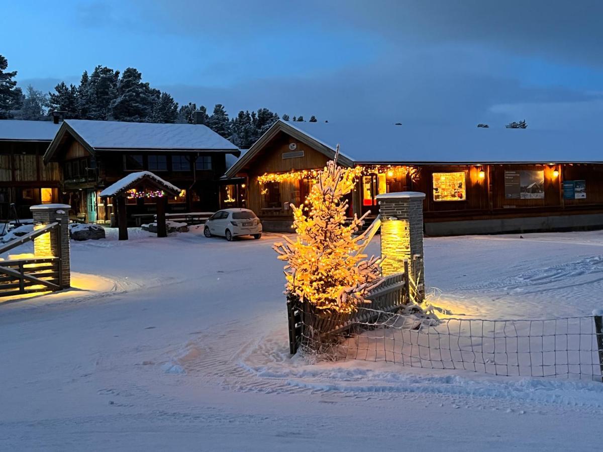 Masaplassen Friisvegen Mountain Lodge Ringebu Eksteriør billede