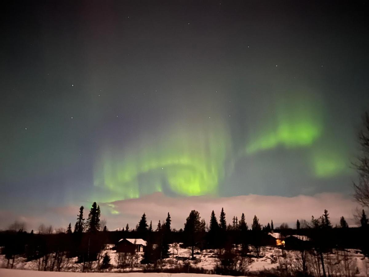 Masaplassen Friisvegen Mountain Lodge Ringebu Eksteriør billede