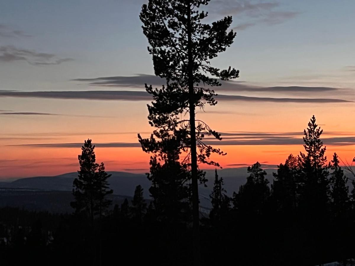Masaplassen Friisvegen Mountain Lodge Ringebu Eksteriør billede