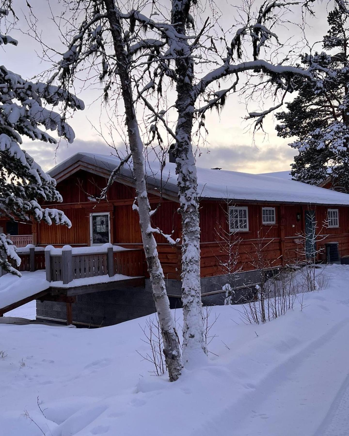 Masaplassen Friisvegen Mountain Lodge Ringebu Eksteriør billede