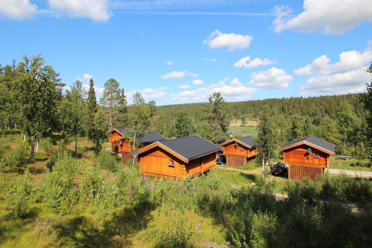 Masaplassen Friisvegen Mountain Lodge Ringebu Eksteriør billede