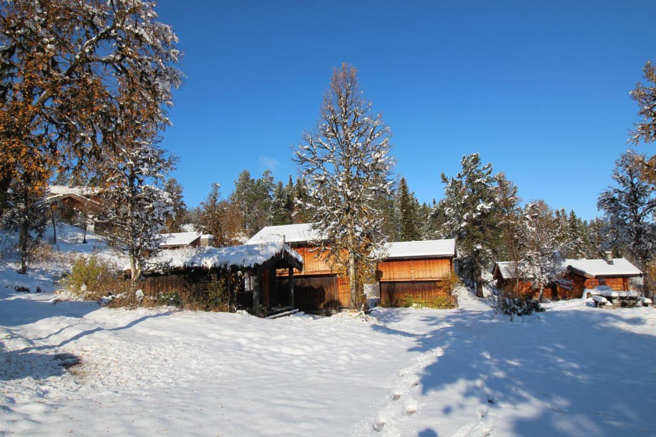 Masaplassen Friisvegen Mountain Lodge Ringebu Eksteriør billede