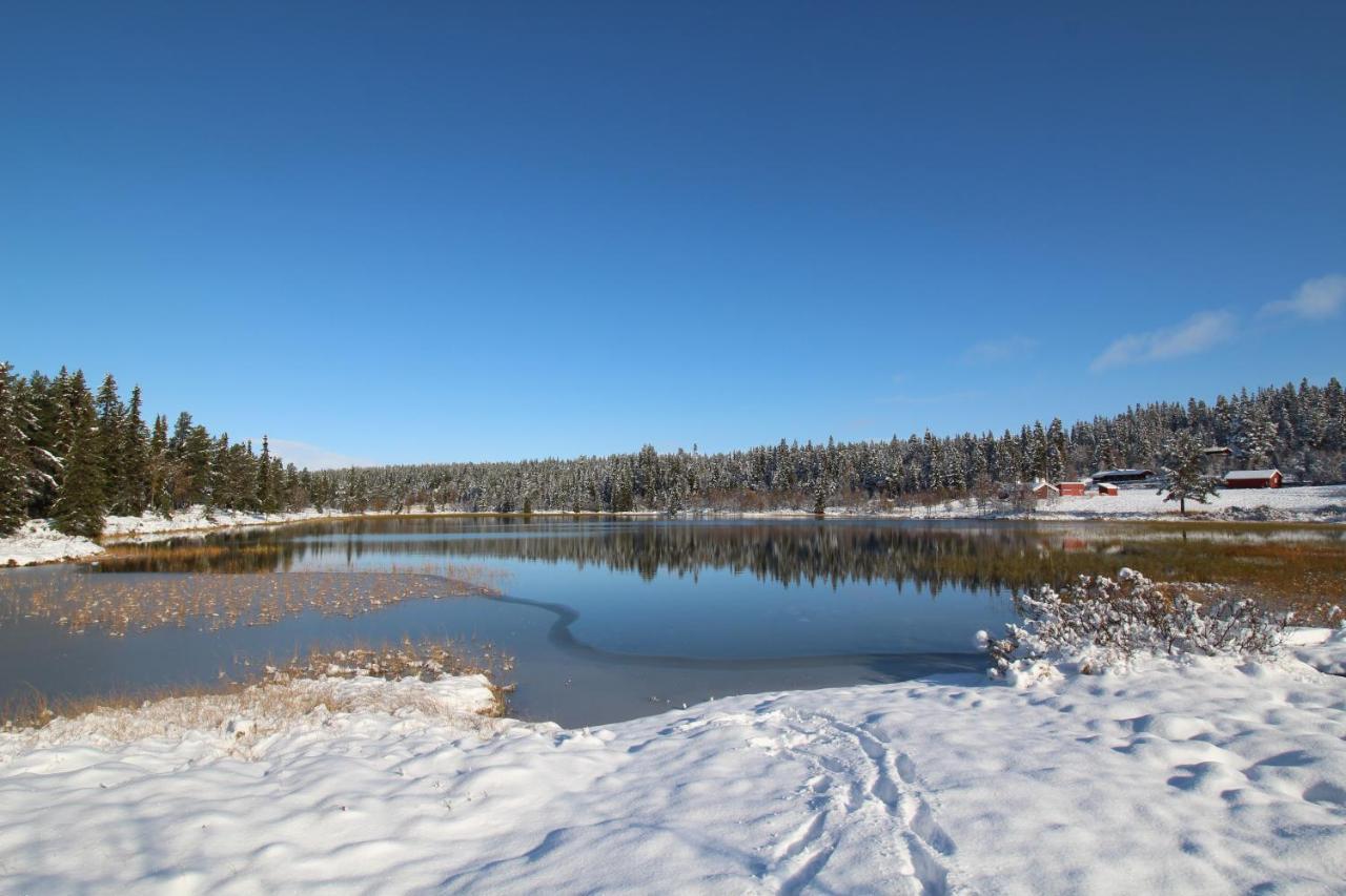 Masaplassen Friisvegen Mountain Lodge Ringebu Eksteriør billede